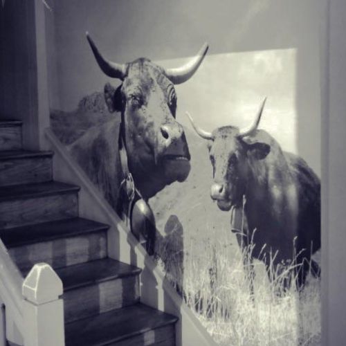 Décor et Stand réalisés par Cassiopub, agence à Aurillac (Cantal) et Rognac (Bouches-du-Rhône).